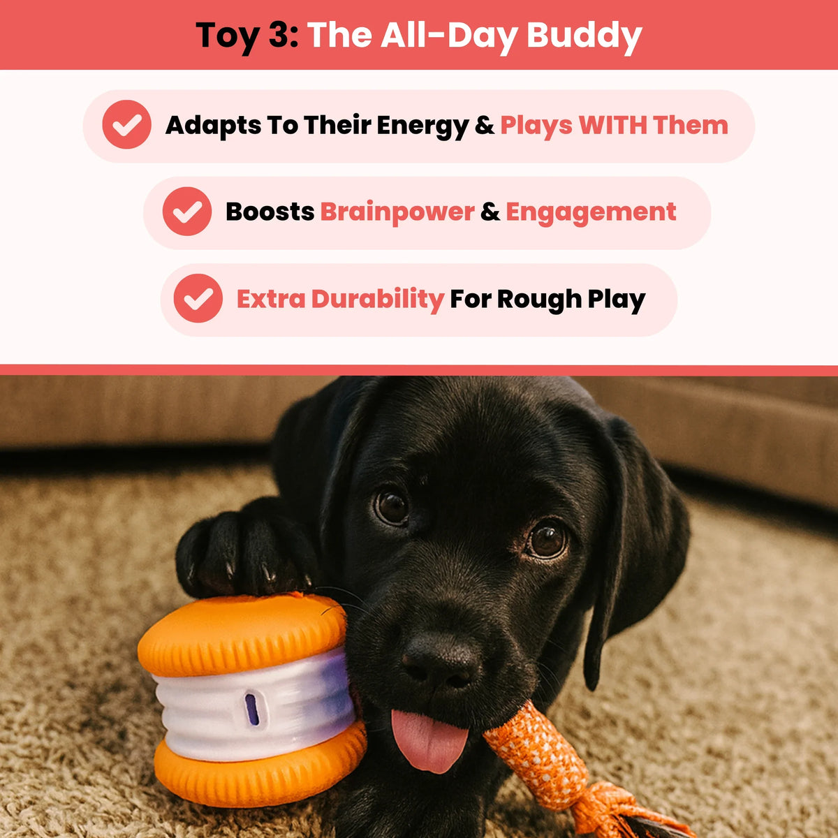Ultimate Stimulation Bundle 3